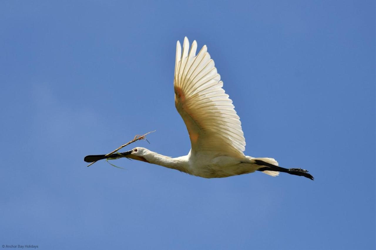 Spoonbill Cottage Filey Eksteriør bilde